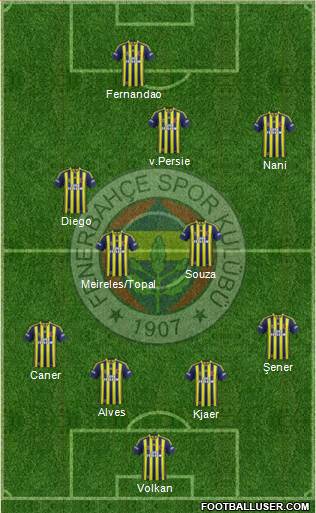 Fenerbahçe SK Formation 2015