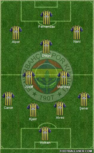 Fenerbahçe SK Formation 2015