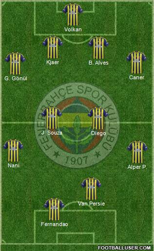 Fenerbahçe SK Formation 2015