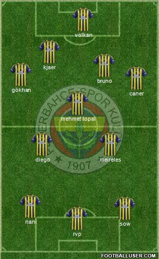 Fenerbahçe SK Formation 2015