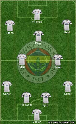 Fenerbahçe SK Formation 2015