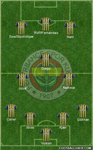 Fenerbahçe SK Formation 2015
