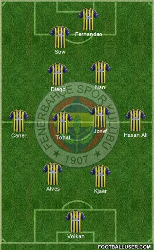 Fenerbahçe SK Formation 2015
