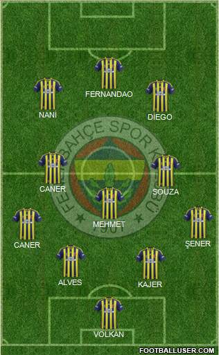 Fenerbahçe SK Formation 2015
