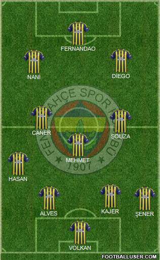 Fenerbahçe SK Formation 2015