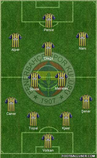 Fenerbahçe SK Formation 2015
