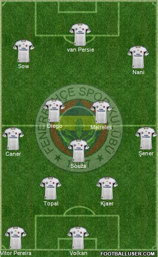 Fenerbahçe SK Formation 2015