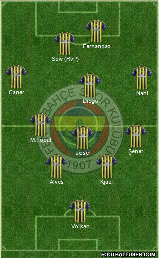 Fenerbahçe SK Formation 2015