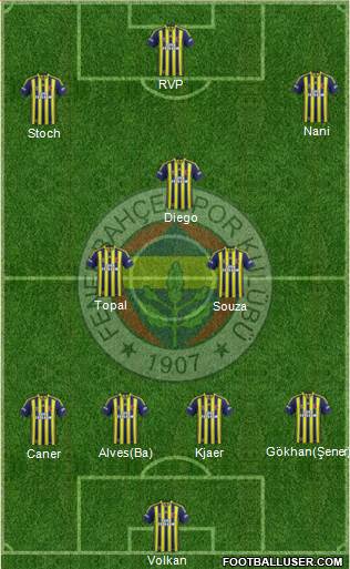 Fenerbahçe SK Formation 2015