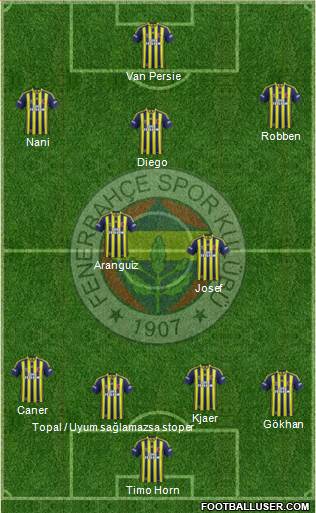 Fenerbahçe SK Formation 2015
