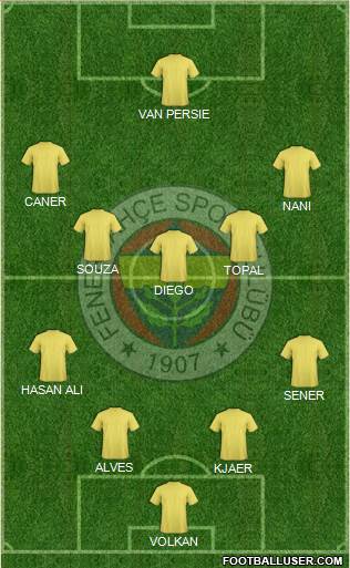 Fenerbahçe SK Formation 2015