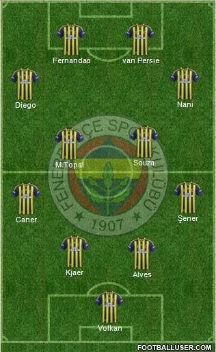 Fenerbahçe SK Formation 2015
