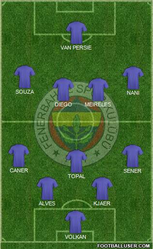 Fenerbahçe SK Formation 2015
