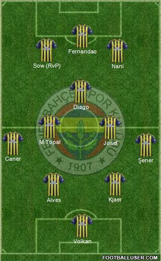 Fenerbahçe SK Formation 2015