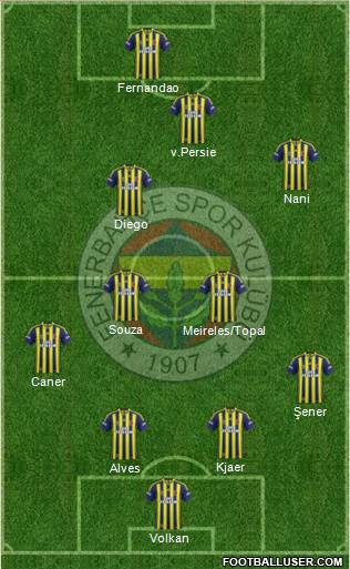 Fenerbahçe SK Formation 2015