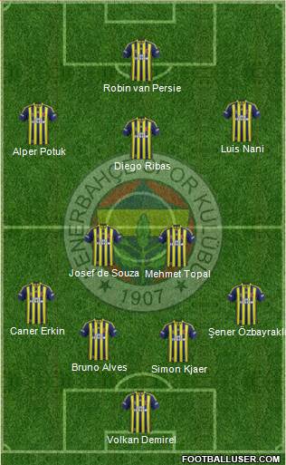 Fenerbahçe SK Formation 2015