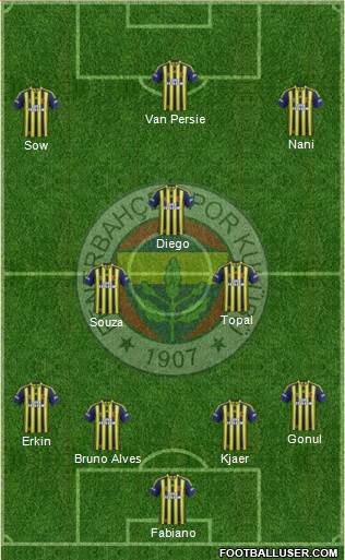 Fenerbahçe SK Formation 2015