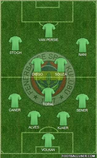 Fenerbahçe SK Formation 2015