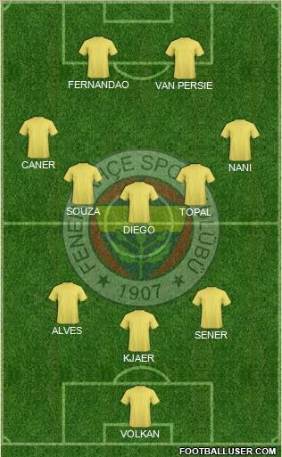 Fenerbahçe SK Formation 2015