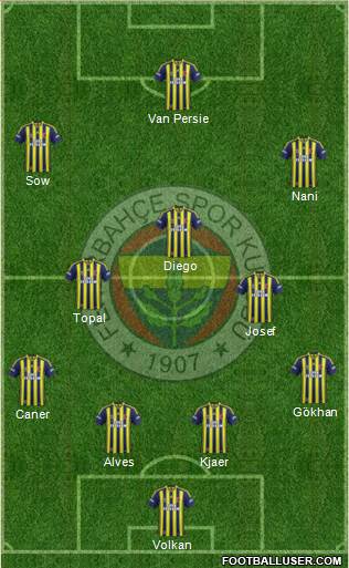 Fenerbahçe SK Formation 2015