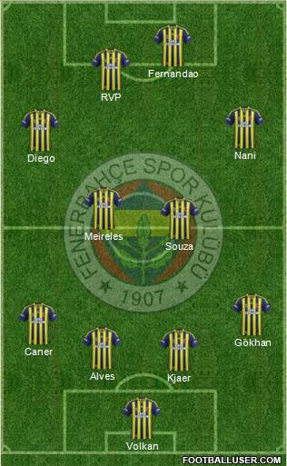 Fenerbahçe SK Formation 2015