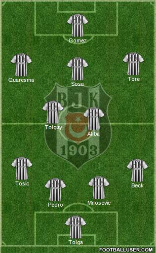 Besiktas JK Formation 2015