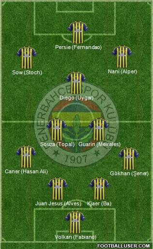 Fenerbahçe SK Formation 2015
