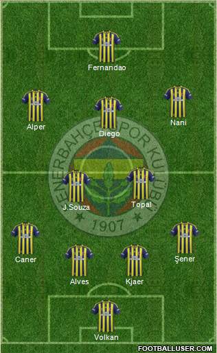 Fenerbahçe SK Formation 2015