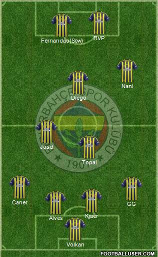 Fenerbahçe SK Formation 2015