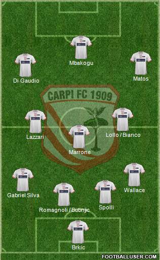 Carpi Formation 2015
