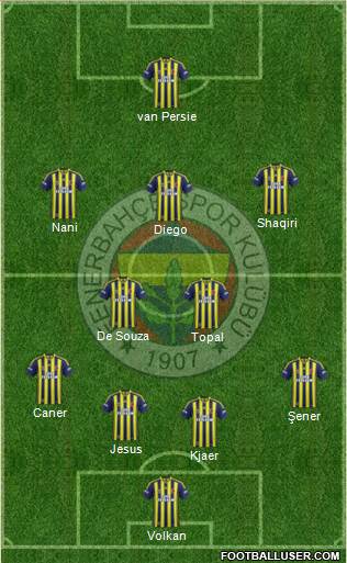 Fenerbahçe SK Formation 2015
