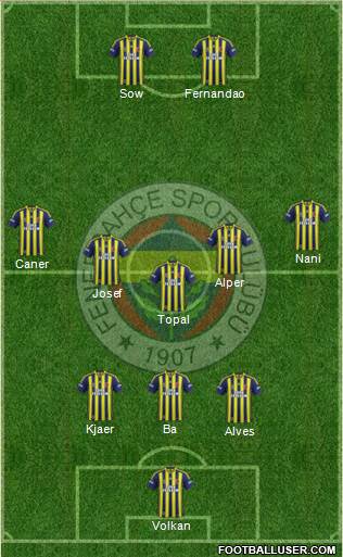 Fenerbahçe SK Formation 2015