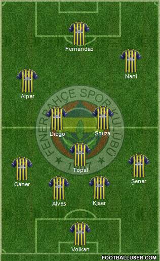 Fenerbahçe SK Formation 2015