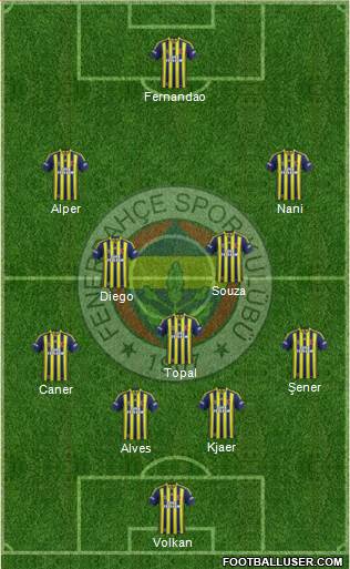 Fenerbahçe SK Formation 2015