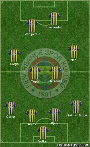 Fenerbahçe SK Formation 2015
