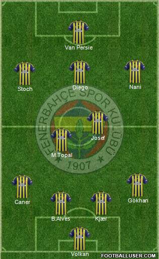 Fenerbahçe SK Formation 2015