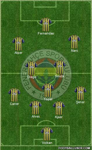 Fenerbahçe SK Formation 2015