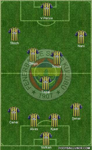 Fenerbahçe SK Formation 2015