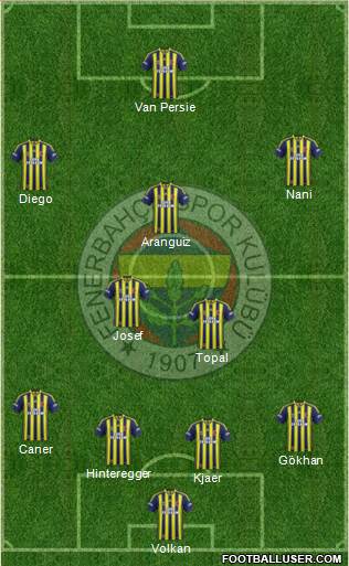 Fenerbahçe SK Formation 2015