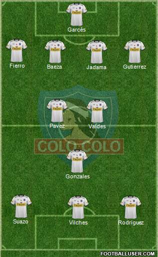 CSD Colo Colo Formation 2015
