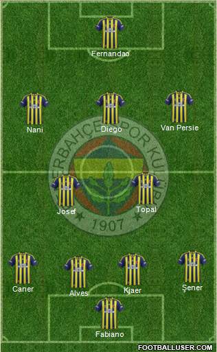 Fenerbahçe SK Formation 2015