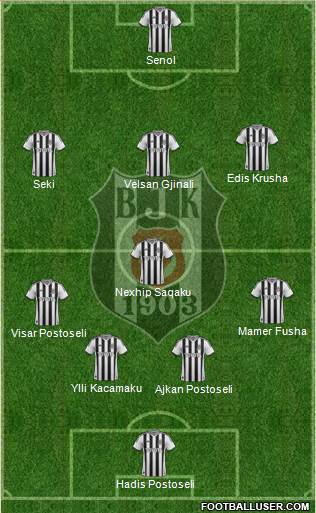 Besiktas JK Formation 2015