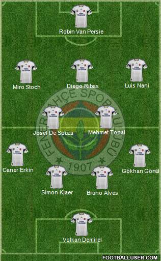 Fenerbahçe SK Formation 2015
