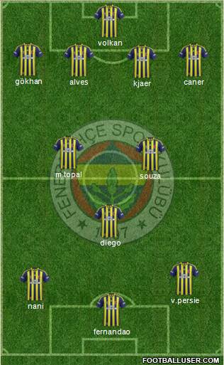 Fenerbahçe SK Formation 2015