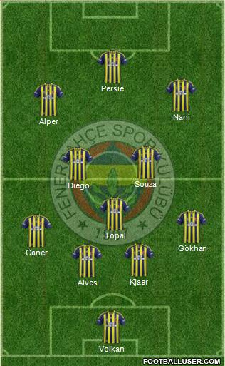 Fenerbahçe SK Formation 2015