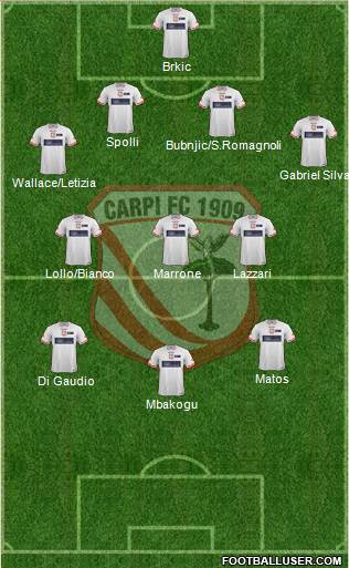 Carpi Formation 2015