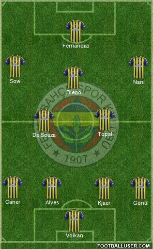 Fenerbahçe SK Formation 2015