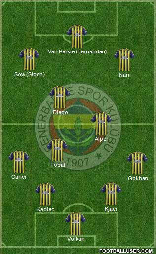 Fenerbahçe SK Formation 2015