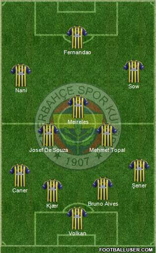 Fenerbahçe SK Formation 2015