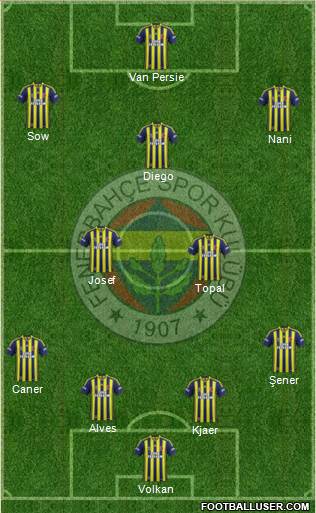 Fenerbahçe SK Formation 2015